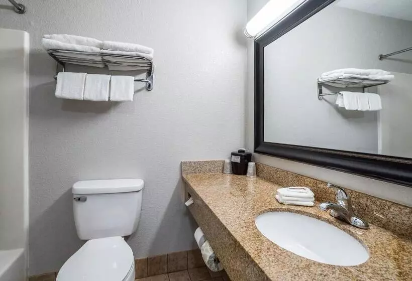 キングサイズベッドのスーペリアルーム, Red Roof Inn Spartanburg   I 26
