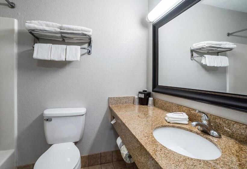 キングサイズベッドのデラックスルーム, Red Roof Inn Spartanburg   I 26