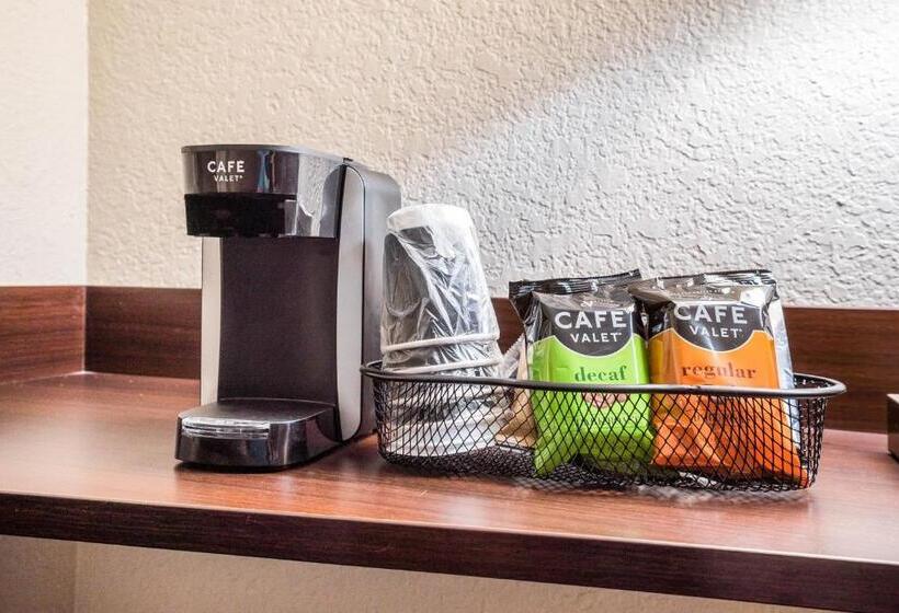 غرفة سوبيريور لذوى الاحتياجات الخاصة, Red Roof Inn Spartanburg   I 26