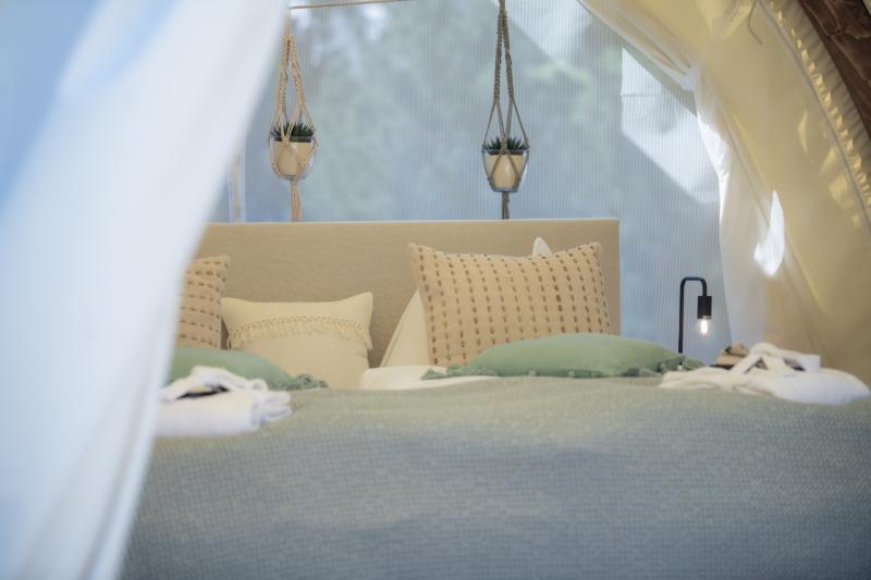 スタンダードルーム, Rodeway Inn North