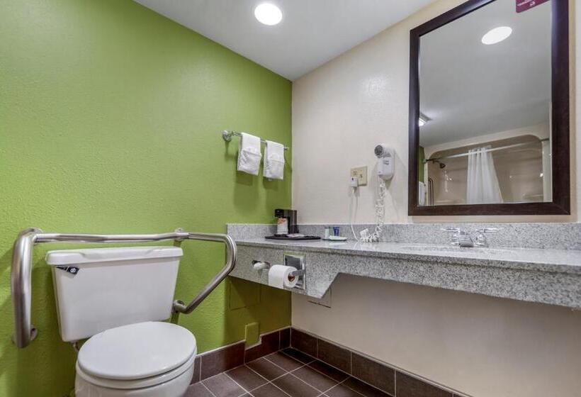 身障者適用スタンダードルーム, Sleep Inn & Suites Omaha Airport