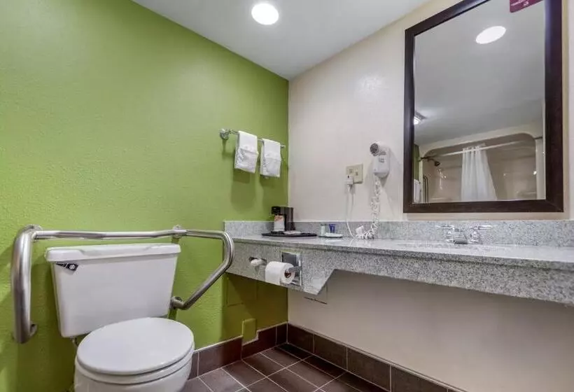 اتاق استاندارد برای معلولان, Sleep Inn & Suites Omaha Airport