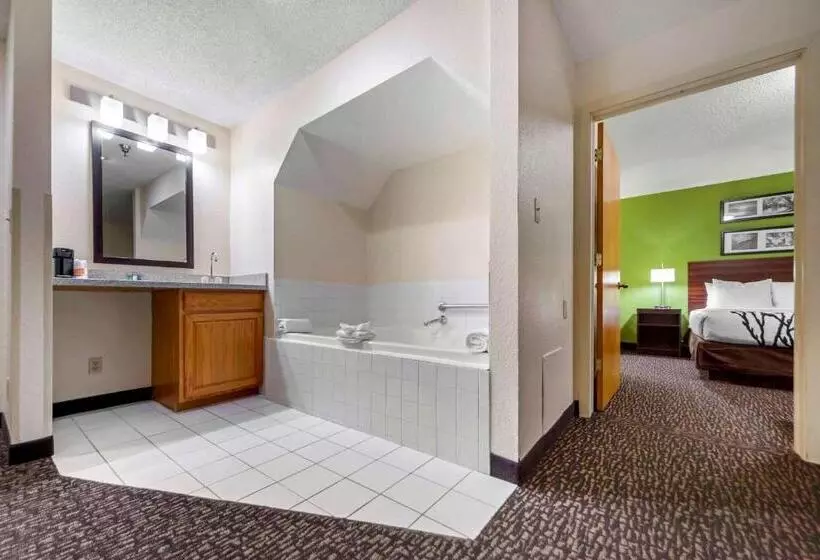 سوییت, Sleep Inn & Suites Omaha Airport