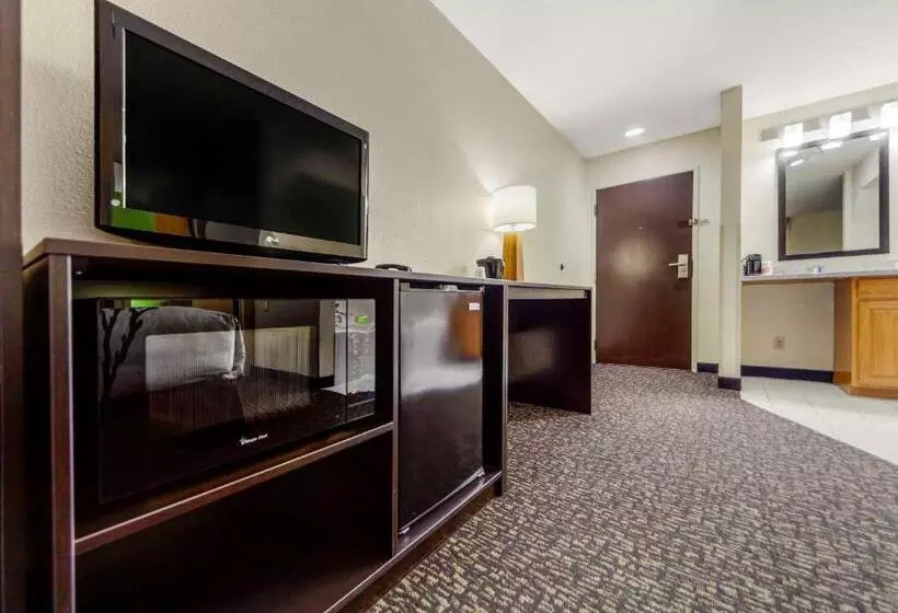 Sviitti, Sleep Inn & Suites Omaha Airport