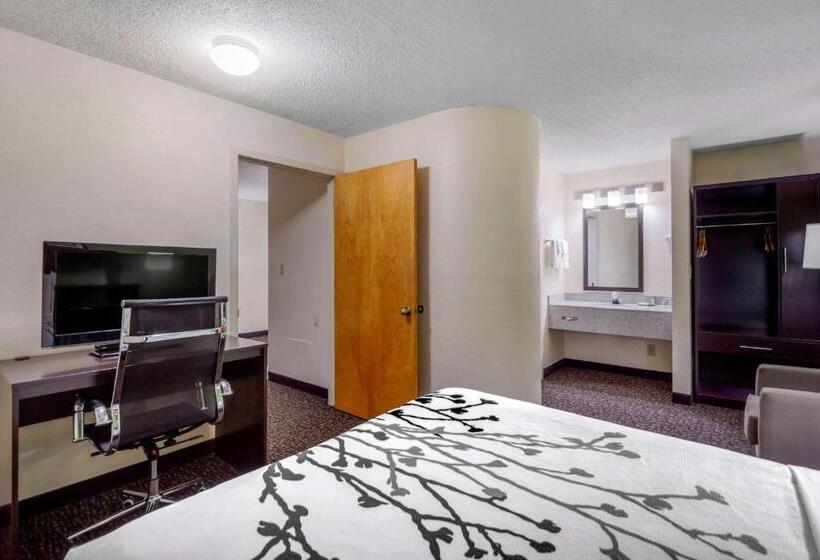 スイート, Sleep Inn & Suites Omaha Airport