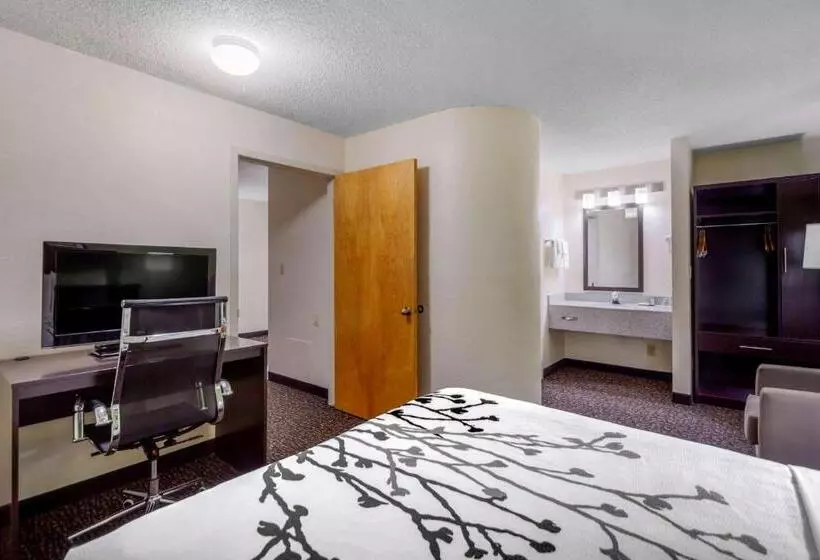 Sviitti, Sleep Inn & Suites Omaha Airport