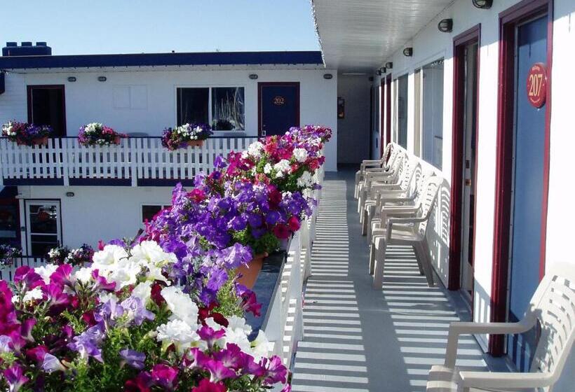 스위트 킹사이즈 침대, Buccaneer Inn