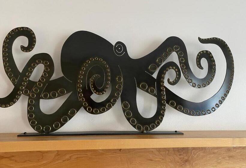 스위트 킹사이즈 침대, Buccaneer Inn