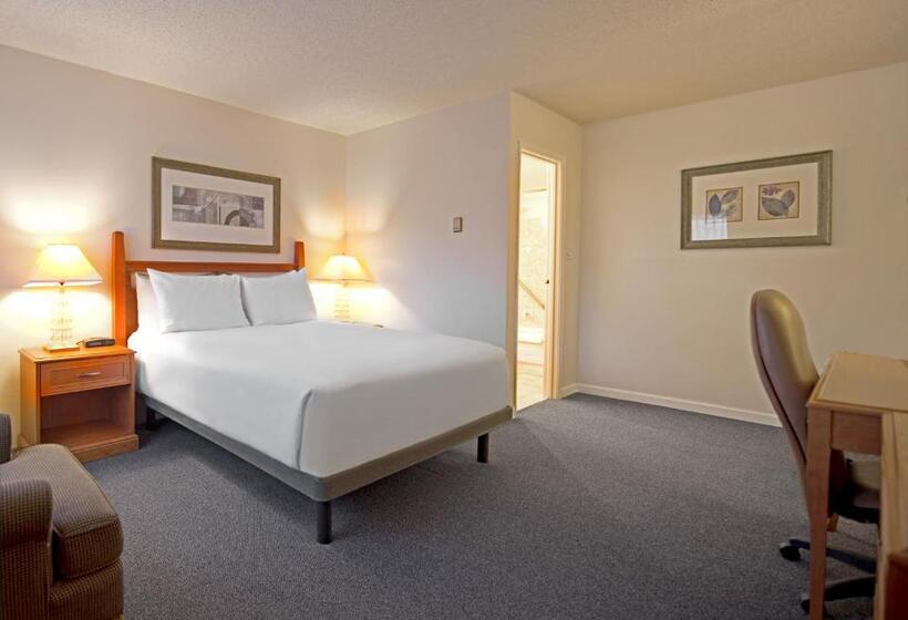 标准间, Robin Hood Inn And Suites