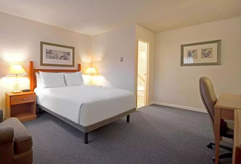 اتاق استاندارد, Robin Hood Inn And Suites