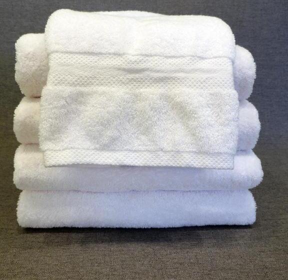 标准间, Robin Hood Inn And Suites