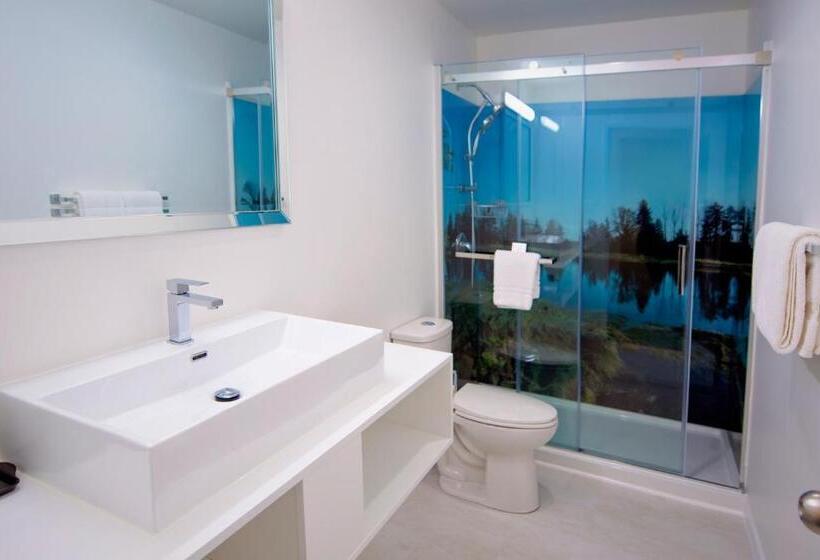 标准间, Robin Hood Inn And Suites