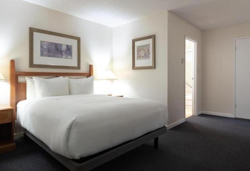 标准间, Robin Hood Inn And Suites