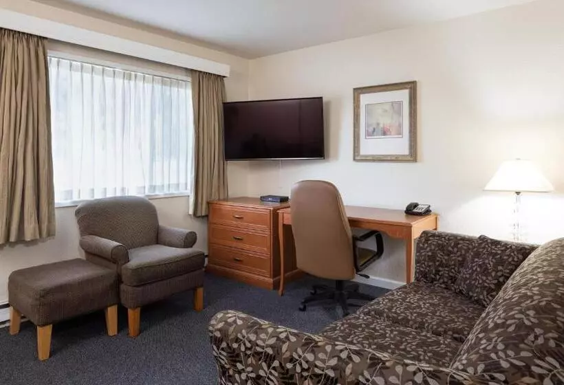 سوییت, Robin Hood Inn And Suites