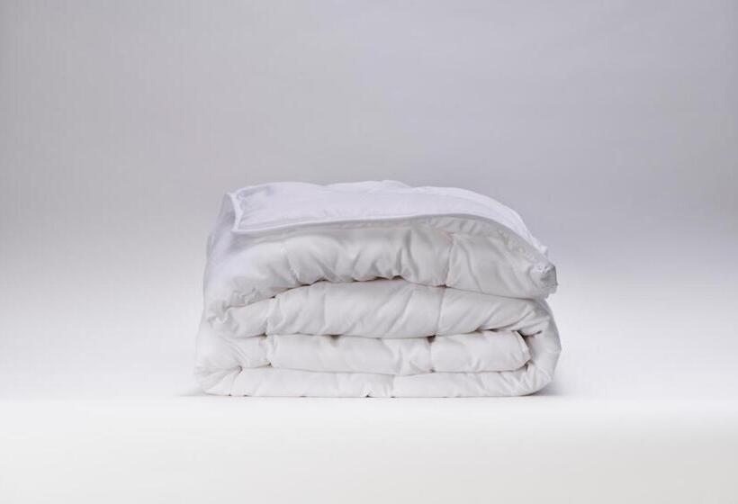 套房, Robin Hood Inn And Suites