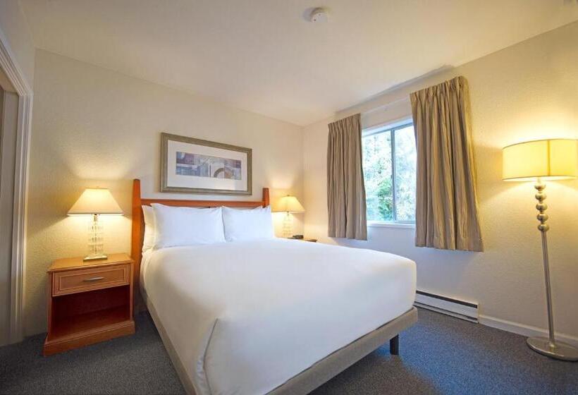 套房, Robin Hood Inn And Suites