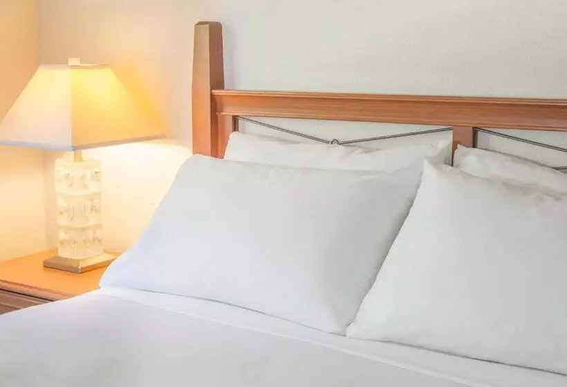 سوییت خانوادگی, Robin Hood Inn And Suites