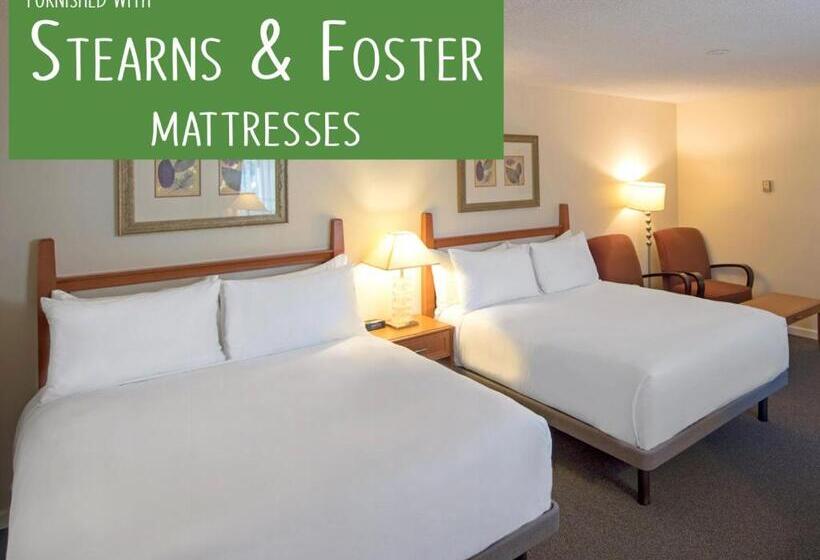 家庭套房, Robin Hood Inn And Suites