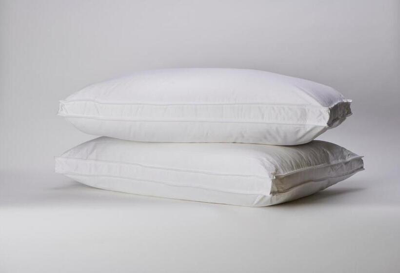 带大床的标准工作室, Robin Hood Inn And Suites