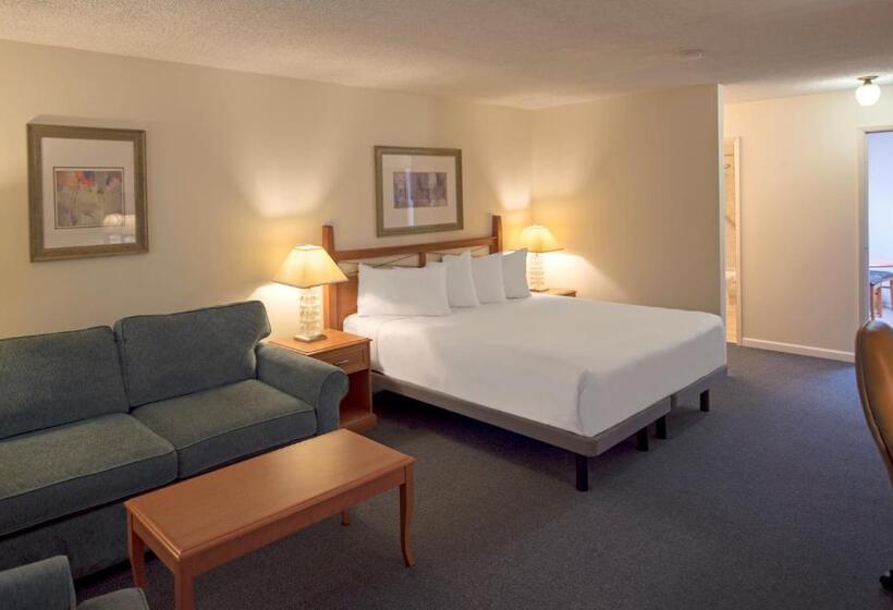 带大床的标准工作室, Robin Hood Inn And Suites