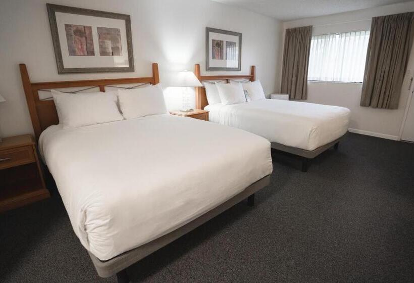 高级大房间, Robin Hood Inn And Suites