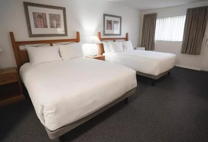 اتاق سوپریور, Robin Hood Inn And Suites
