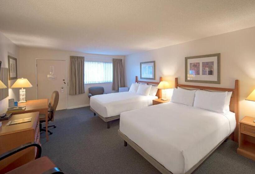 高级大房间, Robin Hood Inn And Suites