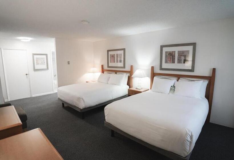 高级大房间, Robin Hood Inn And Suites