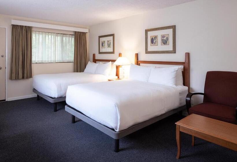家庭套房, Robin Hood Inn And Suites