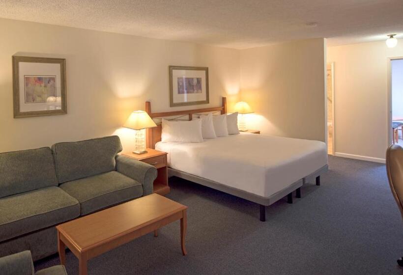 带大床的标准工作室, Robin Hood Inn And Suites