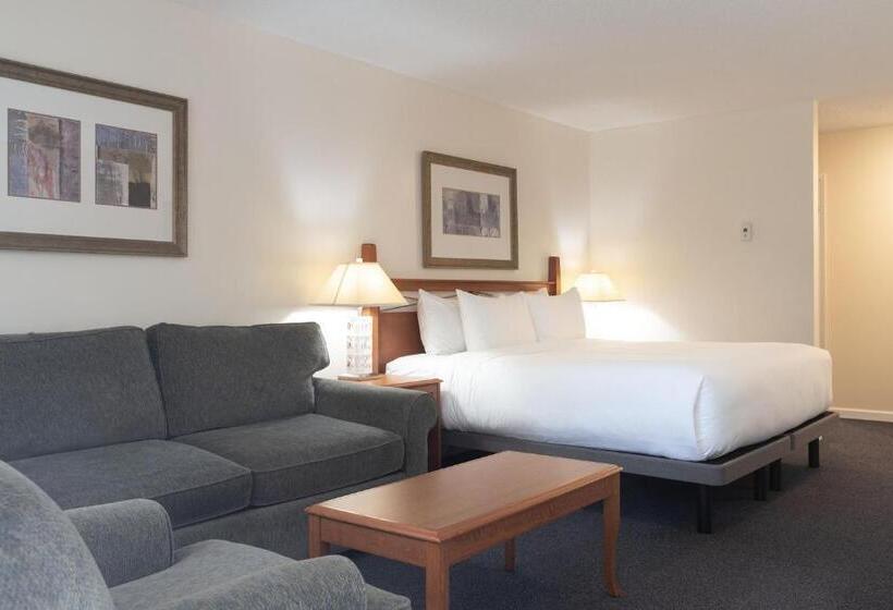 带大床的标准工作室, Robin Hood Inn And Suites