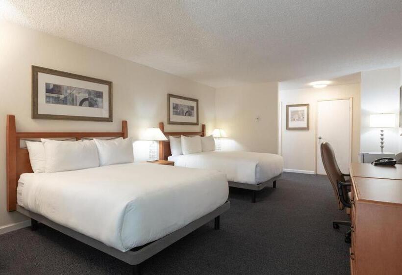 高级大房间, Robin Hood Inn And Suites