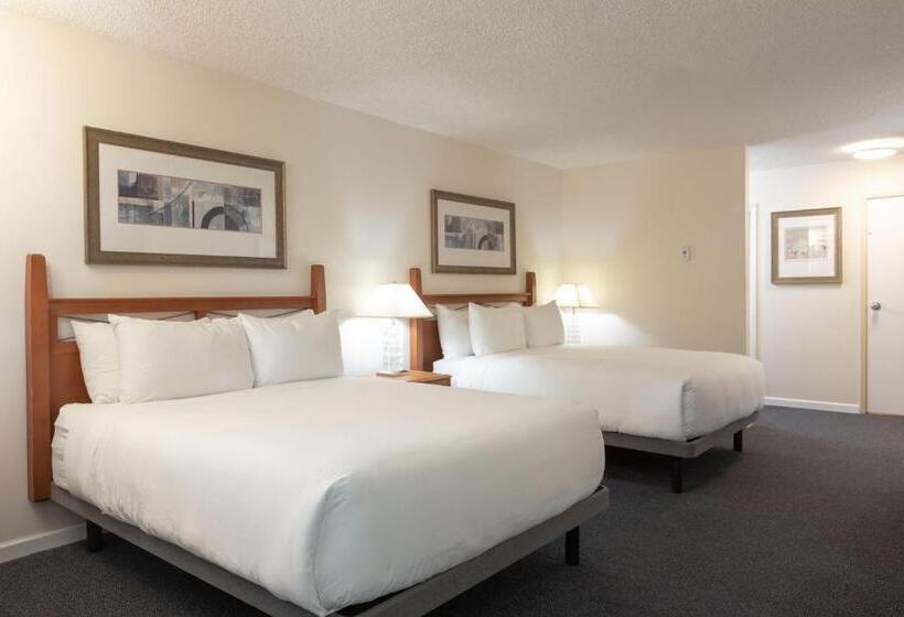 スーペリアールーム, Robin Hood Inn And Suites