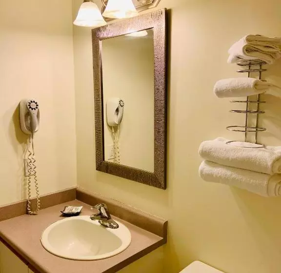 Standard-huone, Green Acres Motel