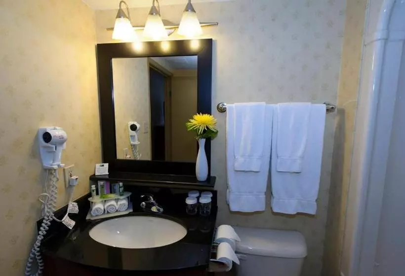 اتاق استاندارد با تخت بزرگ, Sandman Hotel & Suites London Downtown