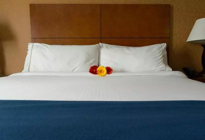 اتاق استاندارد با تخت بزرگ, Sandman Hotel & Suites London Downtown