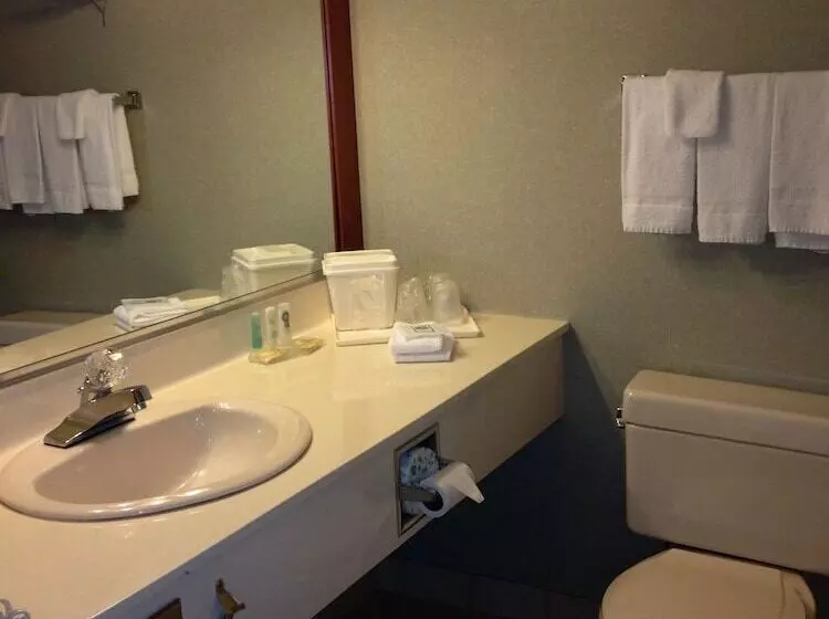 سوییت خانوادگی, Quality Inn & Suites Bay Front