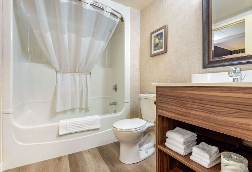 带2个双人床的标准工作室, Quality Suites