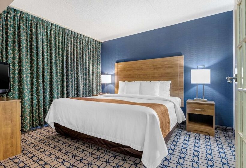 جناح سرير كينج, Quality Suites