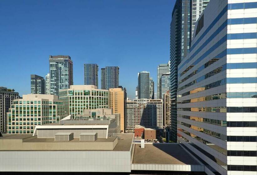 带2个双人床的标准工作室, Toronto Marriott City Centre