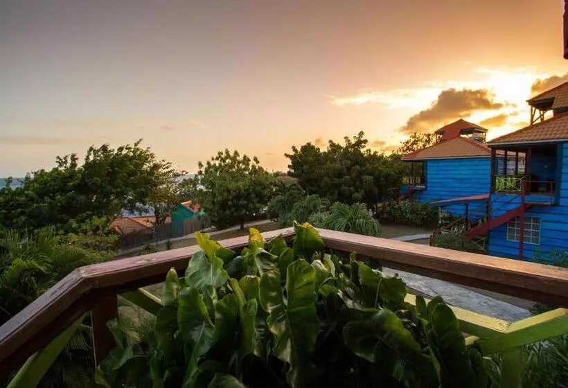 اتاق استاندارد با تخت بزرگ, True Blue Bay Resort