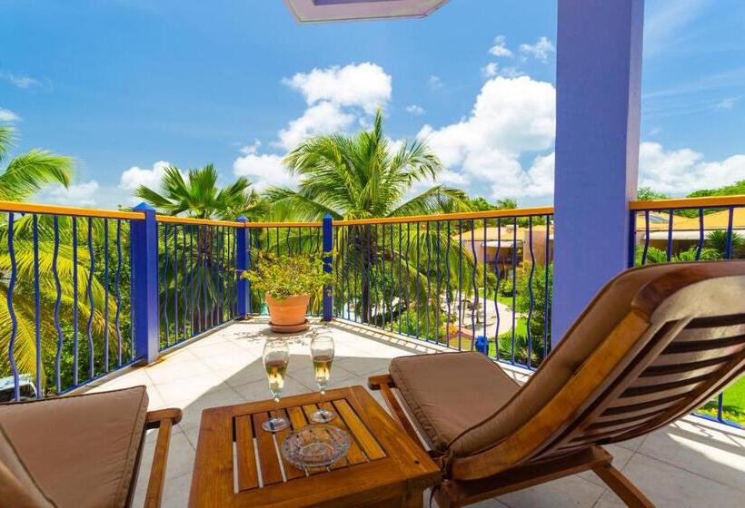 اتاق استاندارد با تخت بزرگ, True Blue Bay Resort