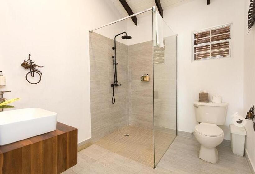 اتاق استاندارد با تخت بزرگ, True Blue Bay Resort