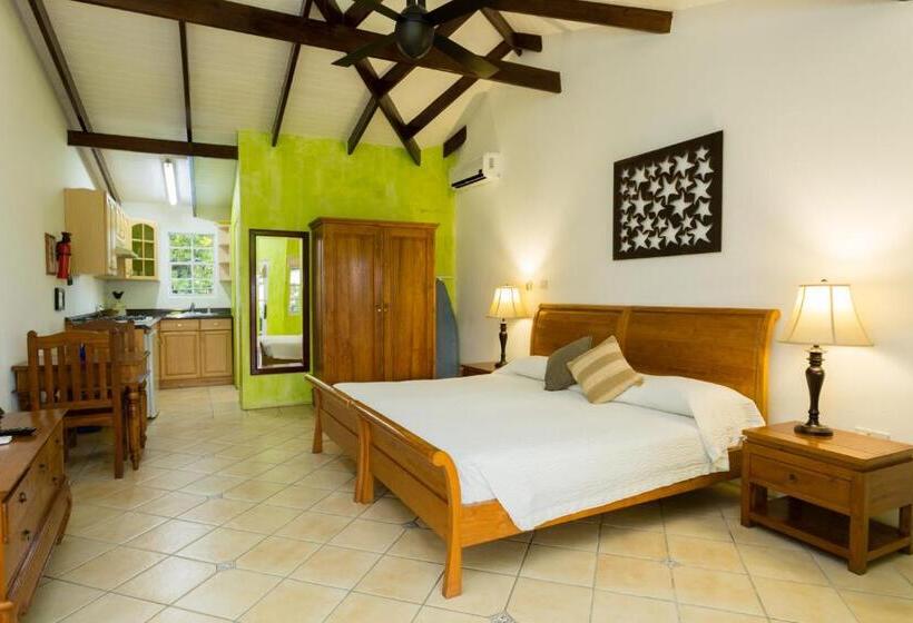 اتاق استاندارد با تخت بزرگ, True Blue Bay Resort