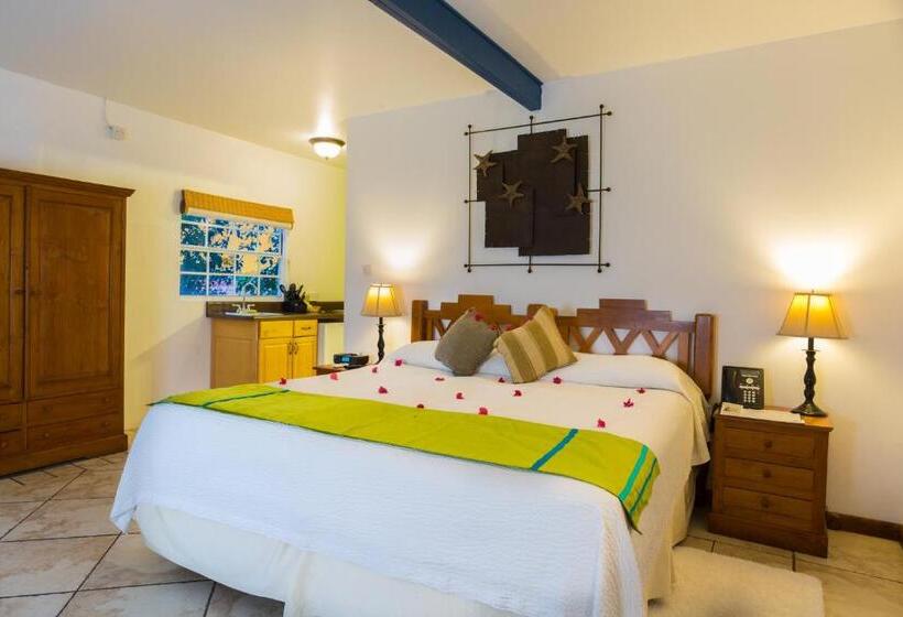 اتاق استاندارد با تخت بزرگ, True Blue Bay Resort