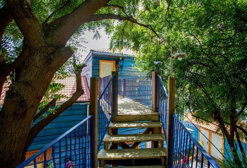 Deluxe Suite King Bed, True Blue Bay Resort