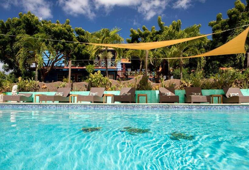 سوییت, True Blue Bay Resort