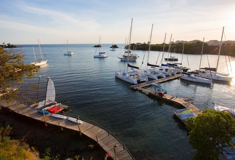 سوییت, True Blue Bay Resort