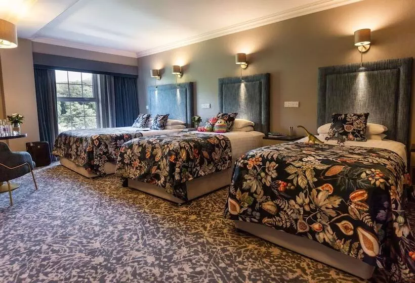 ファミリールーム, Falls Hotel & Spa