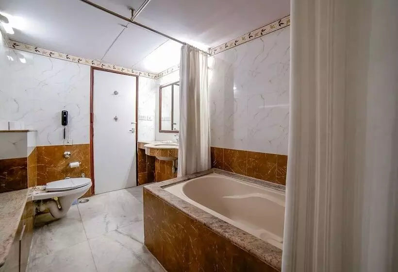 اتاق لوکس, Lmb Hotel City Centre, Jaipur